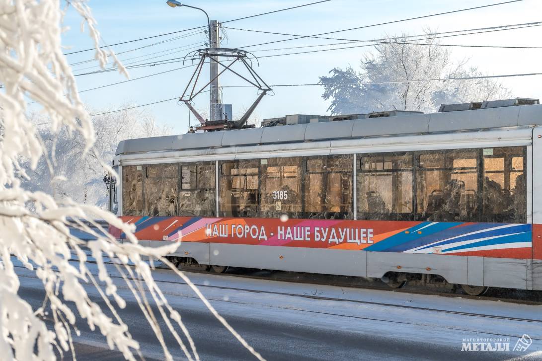 Прощай, зима! | Фотография 12