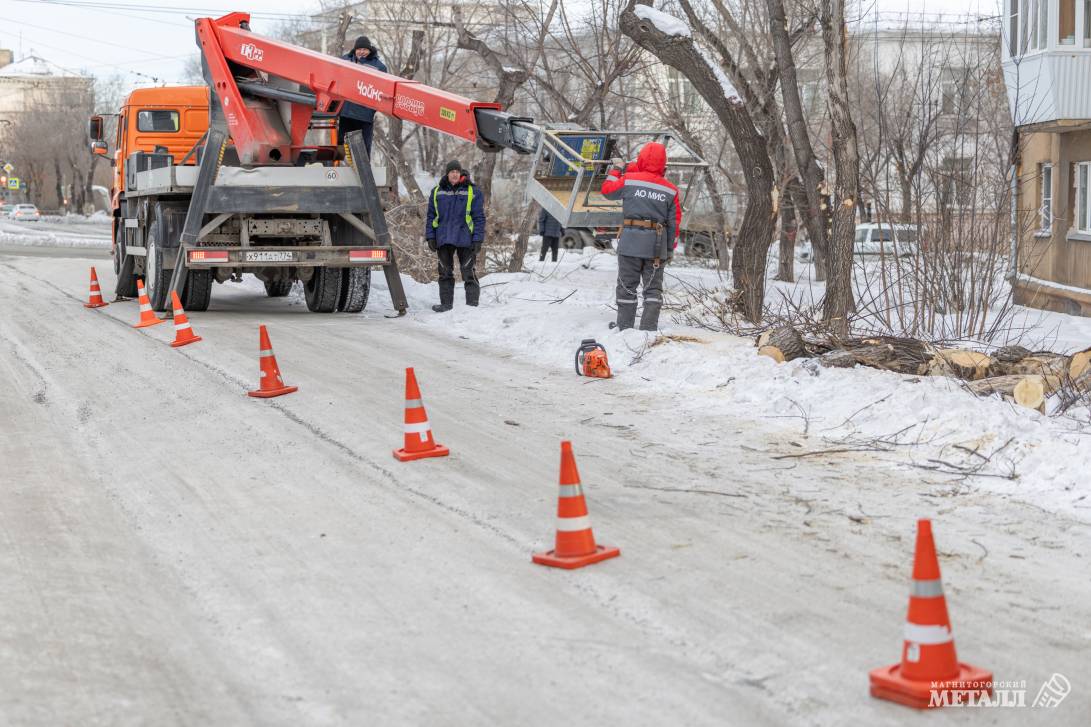 Убрать старое, чтобы посадить новое | Фотография 7