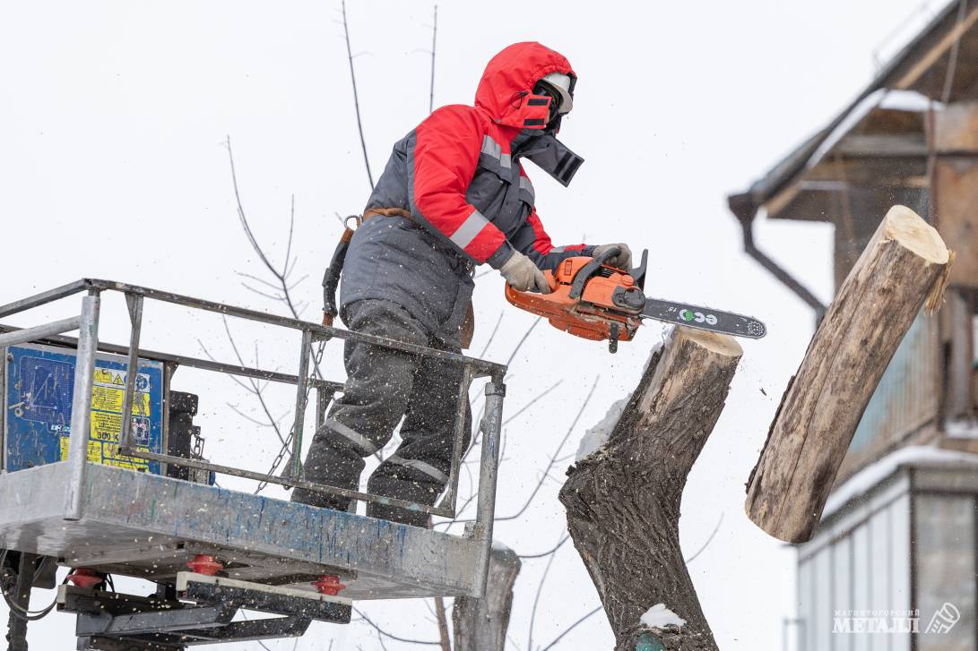 Убрать старое, чтобы посадить новое | Фотография 3