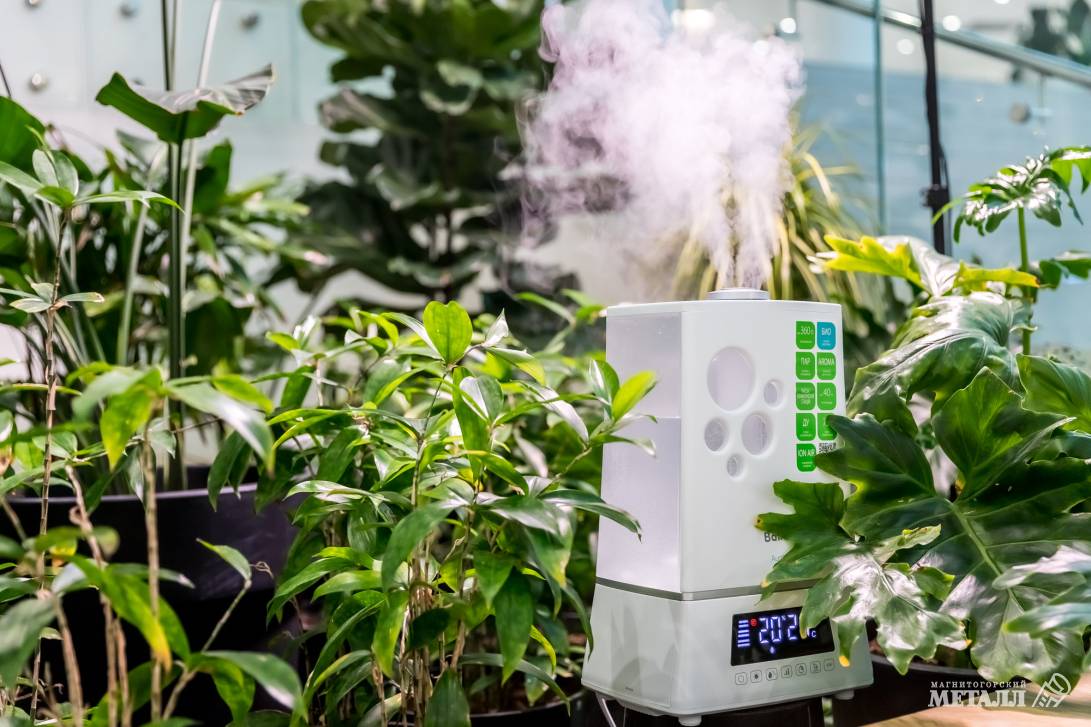 И среди зимы бывает лето | Фотография 9