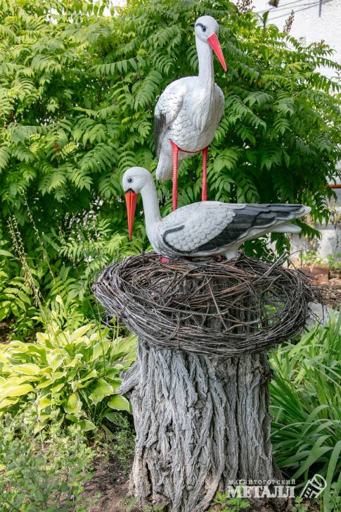 Цветущий завод  | Фотография 47