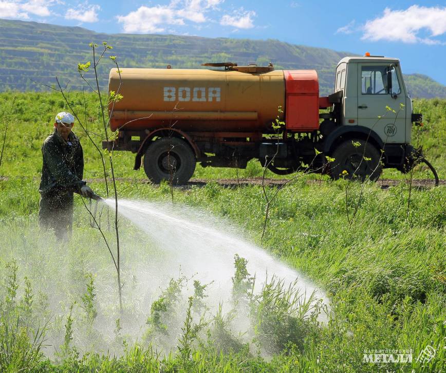 Рукотворная природа | Фотография 2