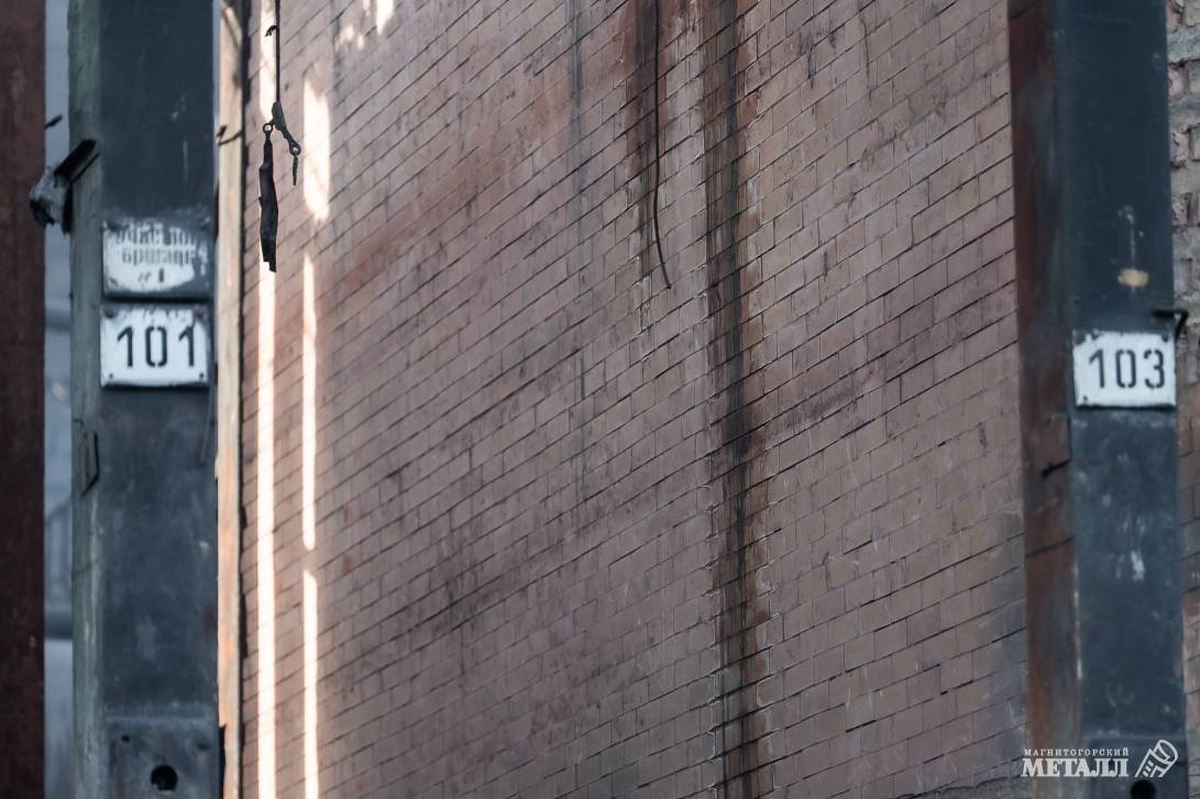 Экологический эффект | Фотография 12