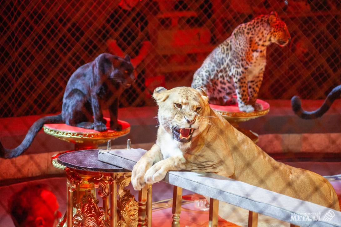 Новый год в Стране чудес | Фотография 36