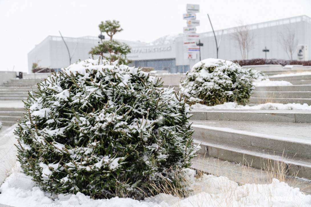 Прощай, зима! | Фотография 20