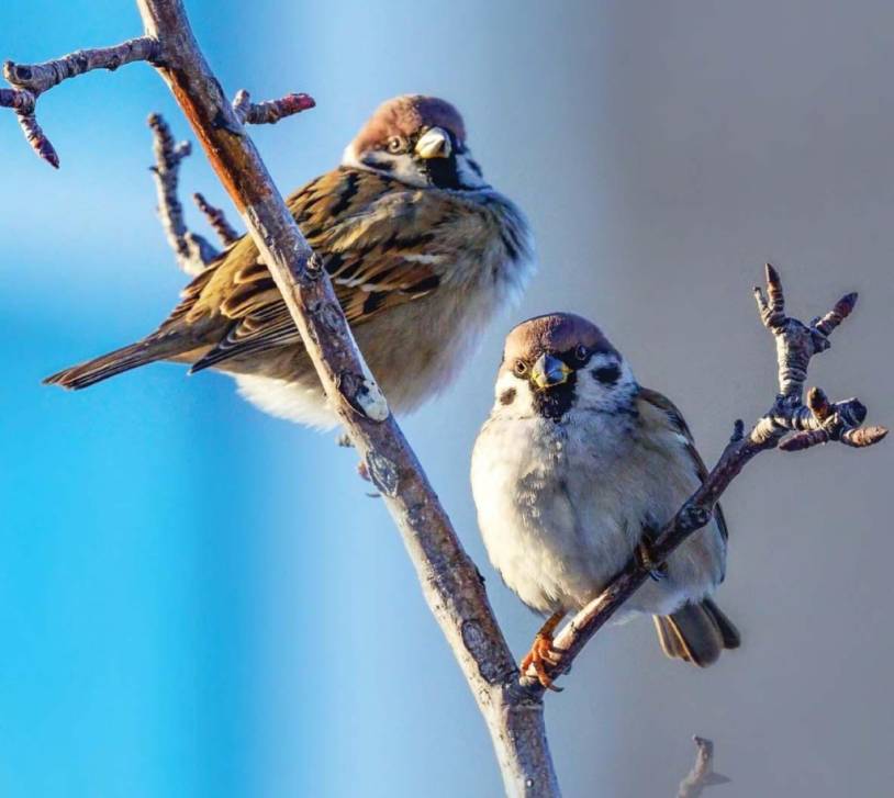 Как дружить и с чем мириться | Фотография 1