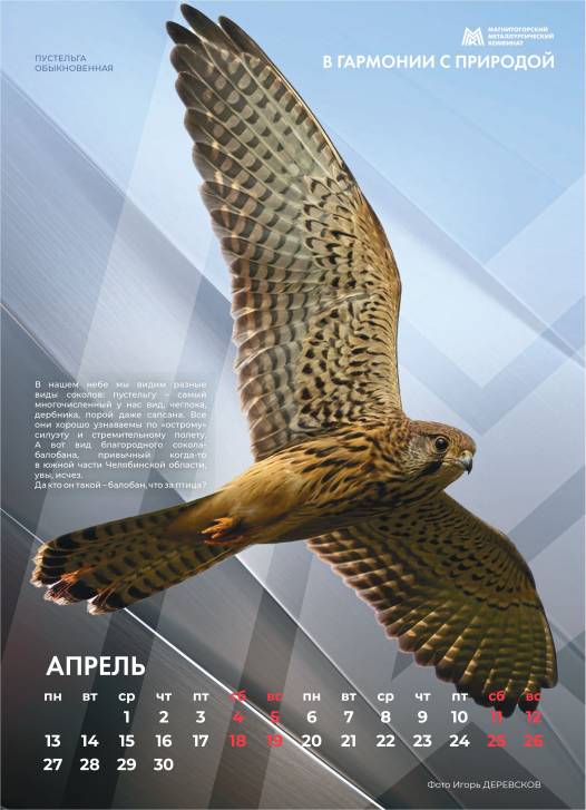 Так выглядит совершенство | Фотография 5