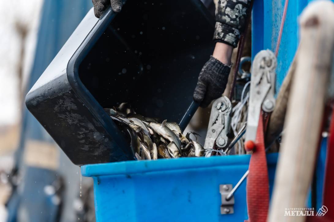 Рыбаки, готовьте удочки! | Фотография 21