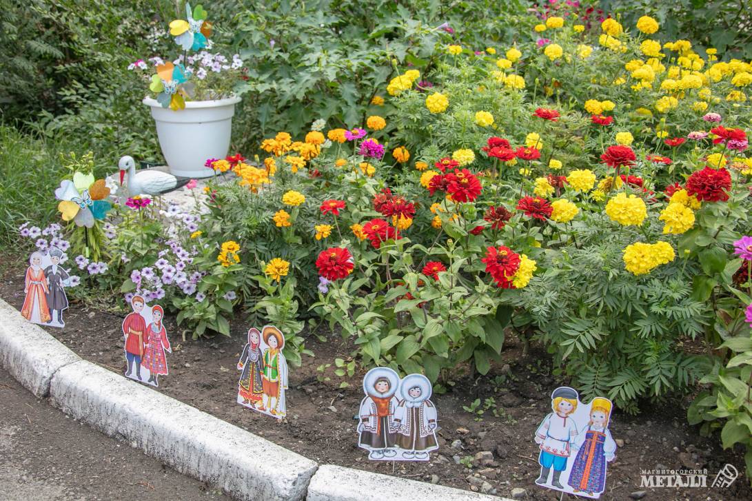 Цветущий завод  | Фотография 54
