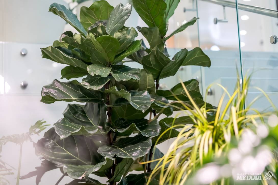 И среди зимы бывает лето | Фотография 5