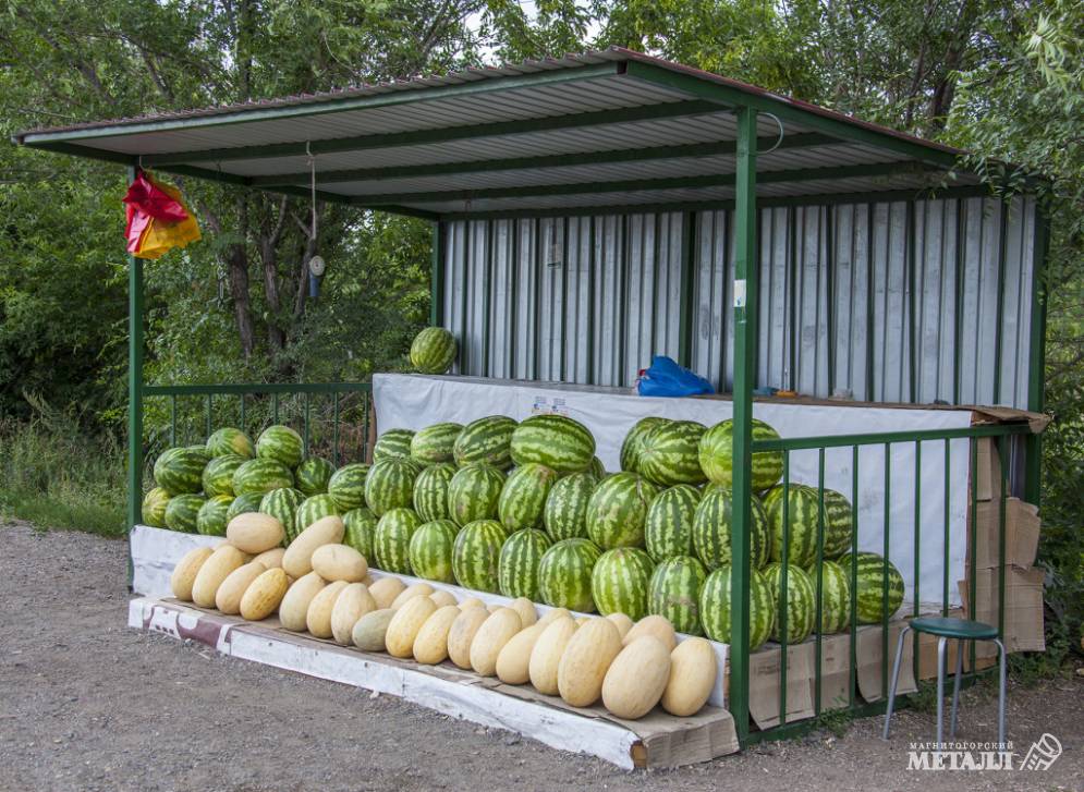 Есть или не есть – вот в чём вопрос | Фотография 1