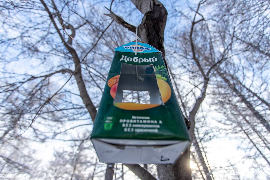 В сиянье снега и улыбок | Фотография 18