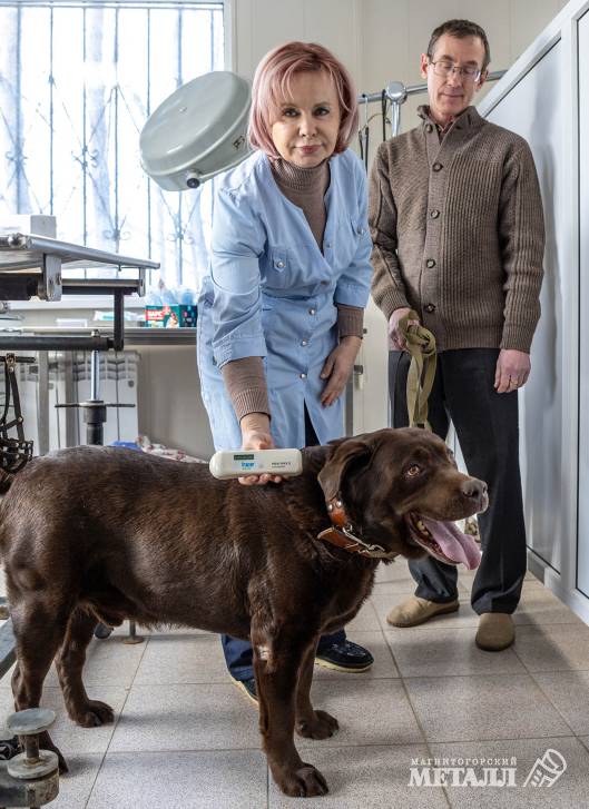 «И корова, и волчица, и жучок,  и червячок, и медведица» | Фотография 1