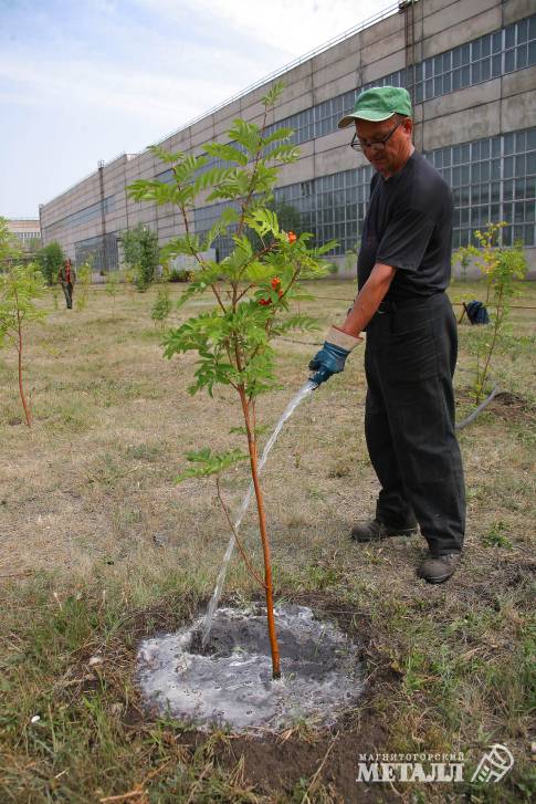 Новое дыхание | Фотография 5