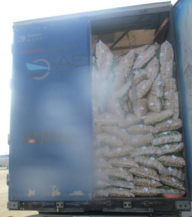 42 тонн грецких орехов | Фотография 1