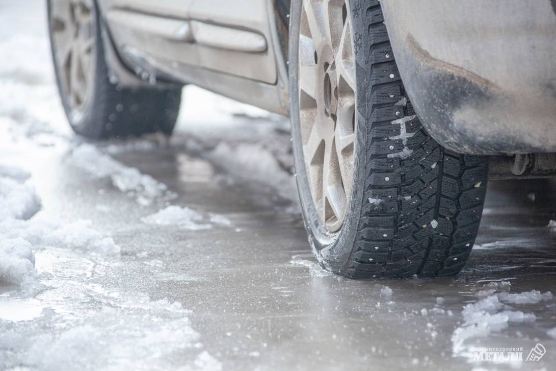 Весенние заботы | Фотография 6