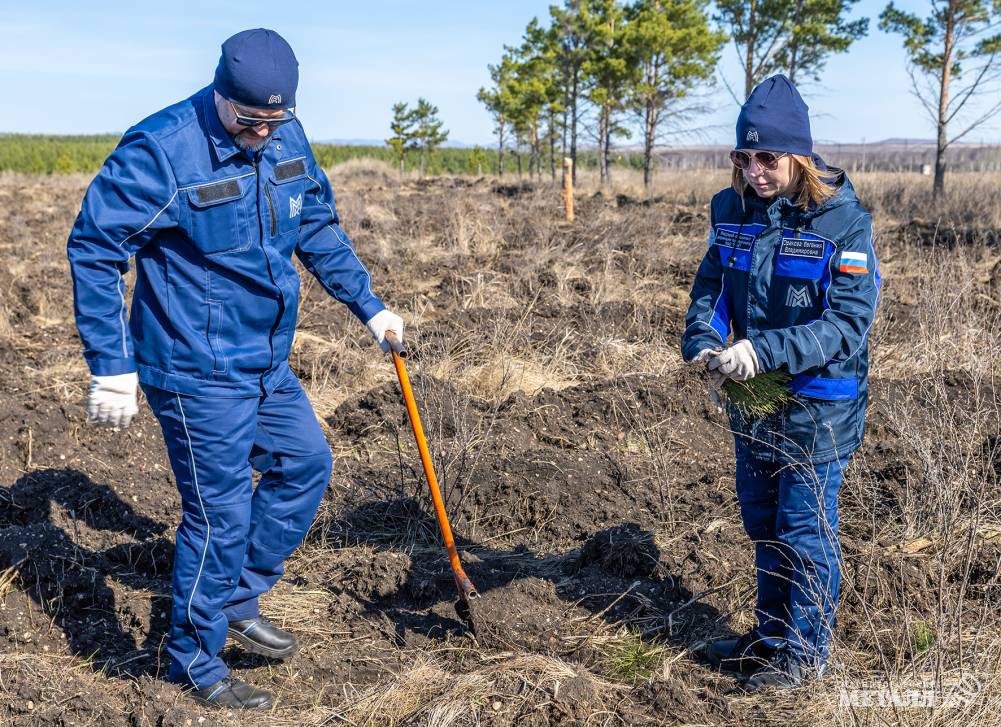 Не про потребление, а про созидание! | Фотография 10