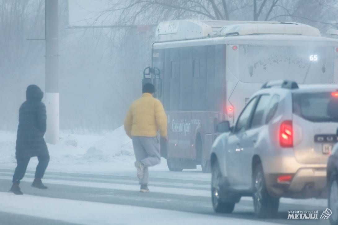 Прощай, зима! | Фотография 34