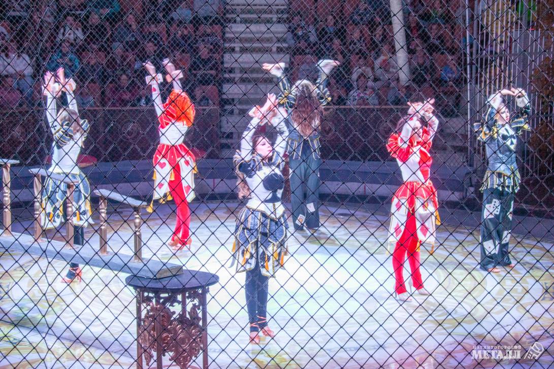 Новый год в Стране чудес | Фотография 33