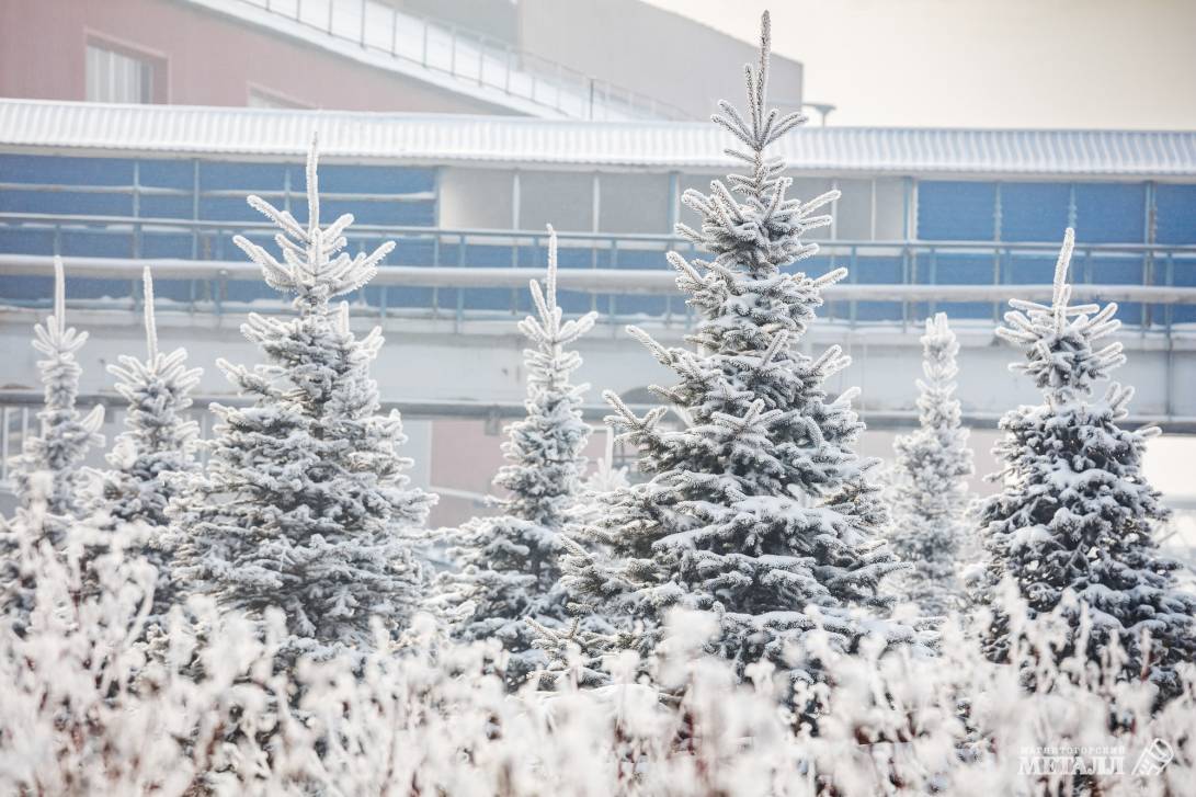 Прощай, зима! | Фотография 4