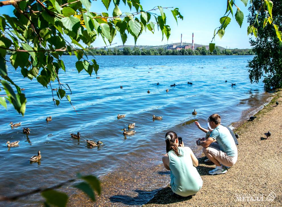 В поисках нарушителей | Фотография 14