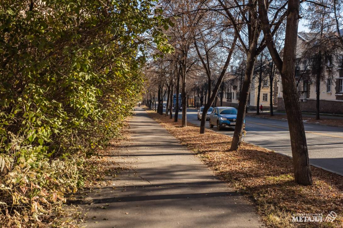 Осень в городе | Фотография 2