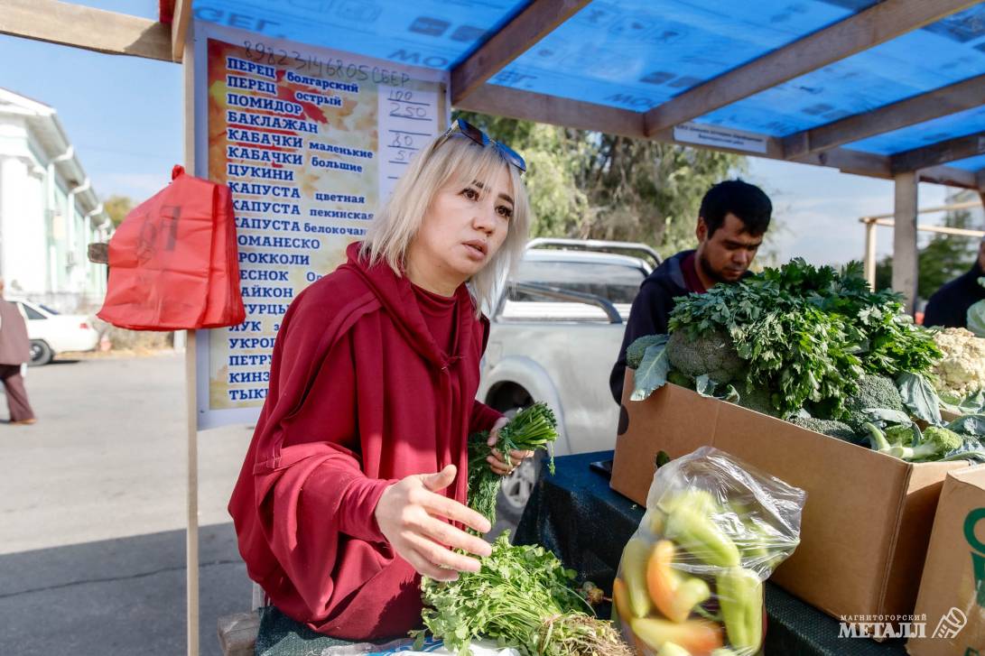 Осеннее изобилие | Фотография 19