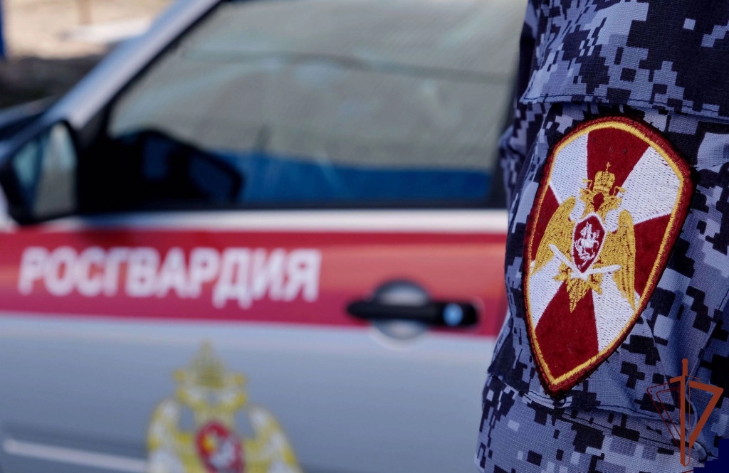 Подозреваемые задержаны  | Фотография 1