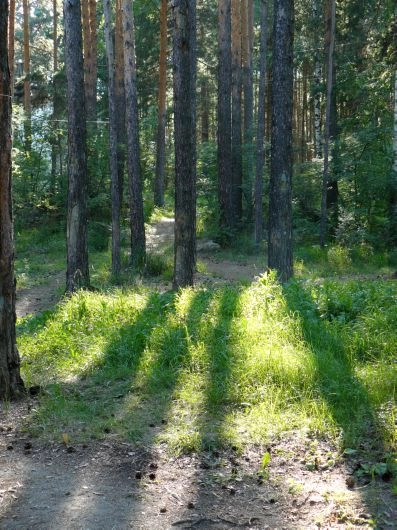 На природу с фотоаппаратом | Фотография 3