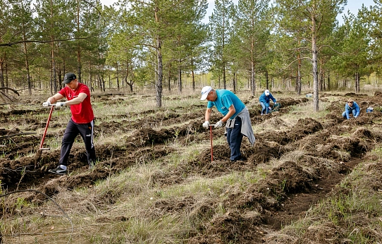 Магнитка сажает лес