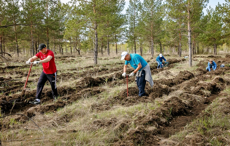 Магнитка сажает лес
