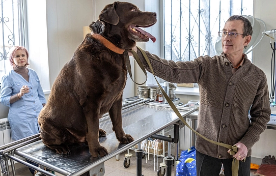 «И корова, и волчица, и жучок,  и червячок, и медведица»
