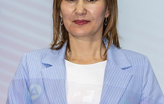 Мастерство в действии