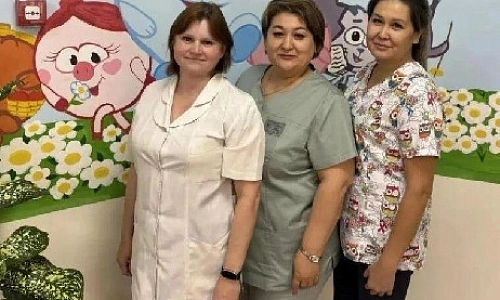 Профессиональное сопровождение