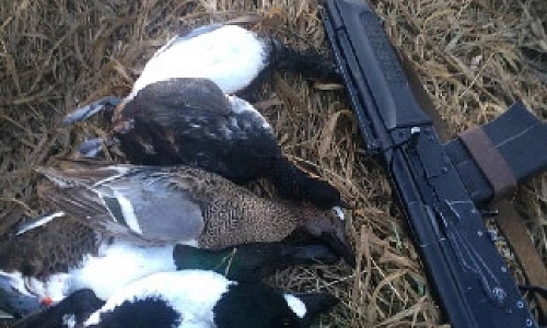 Каждый охотник желает…