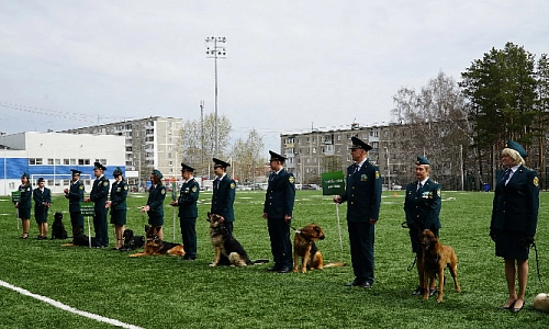 Служебные собаки Урала