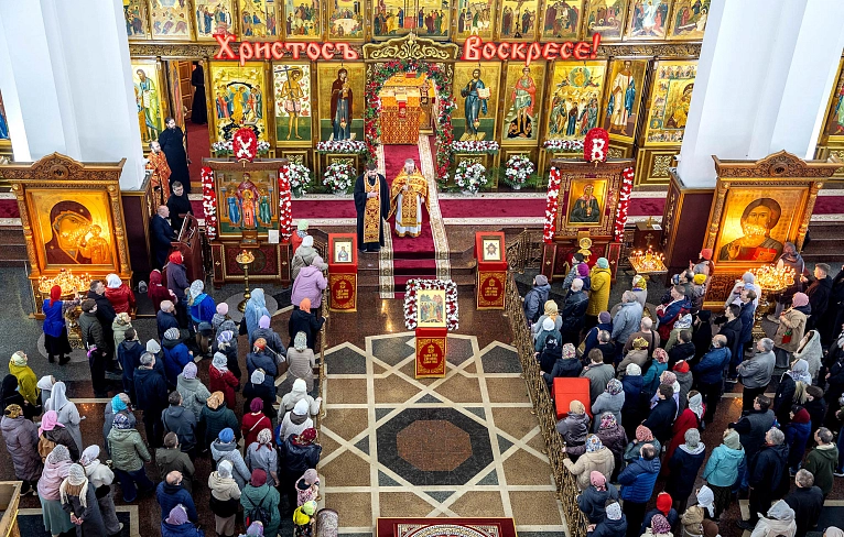 Торжество жизни