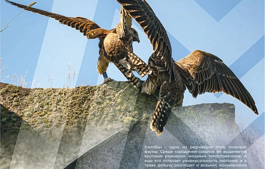 Так выглядит совершенство