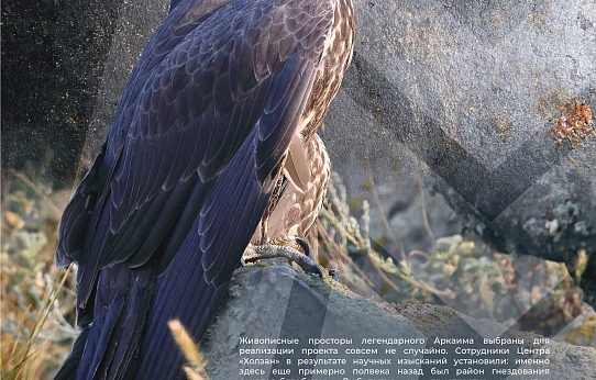 Так выглядит совершенство