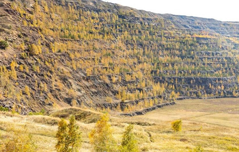 Рукотворная природа