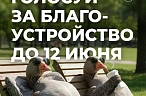 Народный выбор