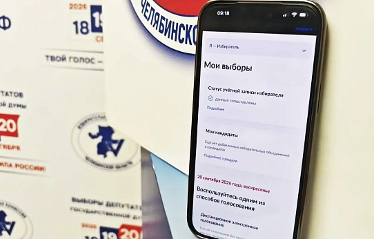Выборы на Госуслугах