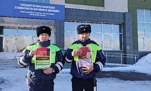 «День против мошенников»