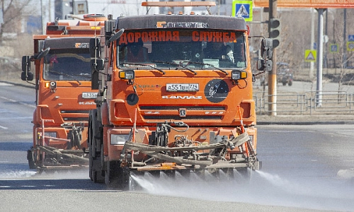 «Чистим пёрышки»