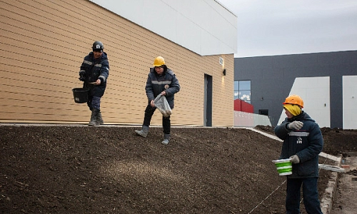 С зелёной каёмочкой…