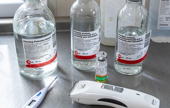 «И корова, и волчица, и жучок,  и червячок, и медведица»