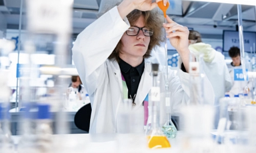 Высший элемент