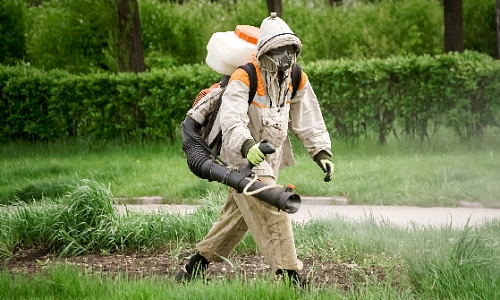 Дезинсекция для парков