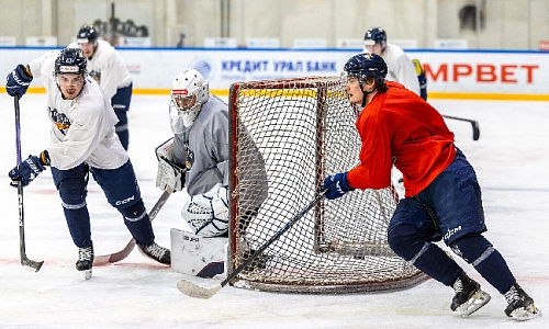 Из новичков – в серьёзные соперники