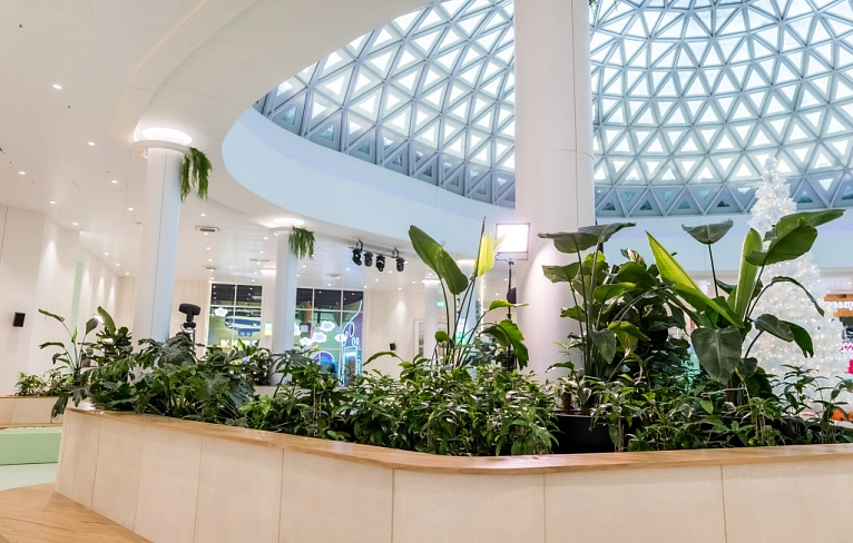 И среди зимы бывает лето